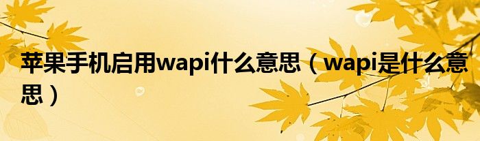 苹果手机启用wapi什么意思（wapi是什么意思）