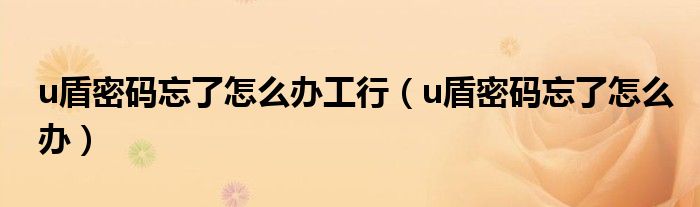 u盾是用於網上銀行電子簽名和數字認證的工具.