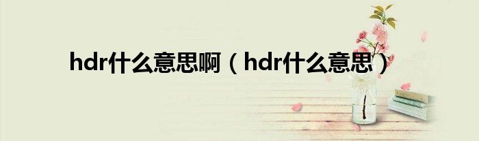 hdr什么意思啊（hdr什么意思）