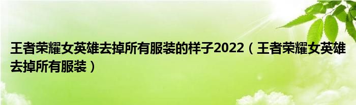 王者荣耀女英雄去掉所有服装的样子2022（王者荣耀女英雄去掉所有服装）