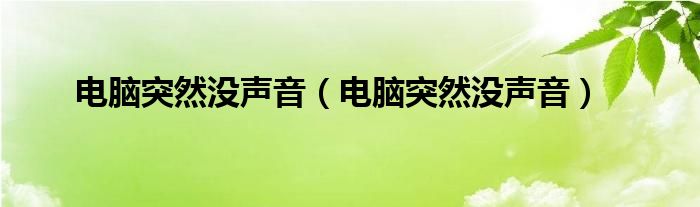 电脑突然没声音（电脑突然没声音）