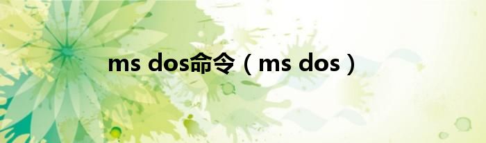 ms dos命令（ms dos）