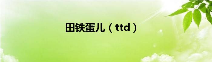 田铁蛋儿（ttd）