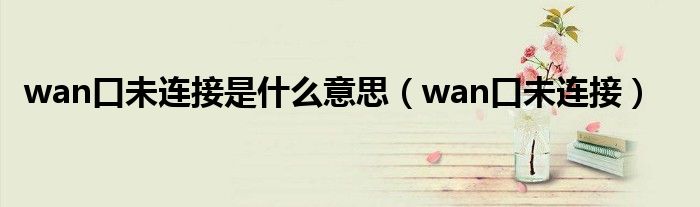 wan口未连接是什么意思（wan口未连接）