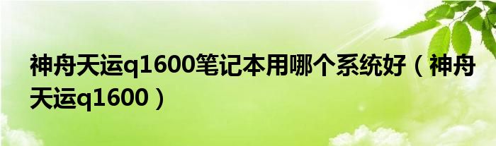 神舟天运q1600笔记本用哪个系统好（神舟天运q1600）