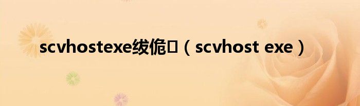 scvhostexe绂佹（scvhost exe）