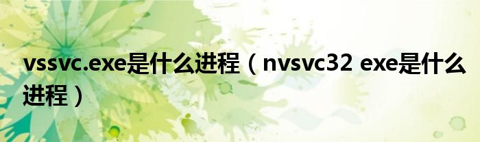 vssvc.exe是什么进程（nvsvc32 exe是什么进程）