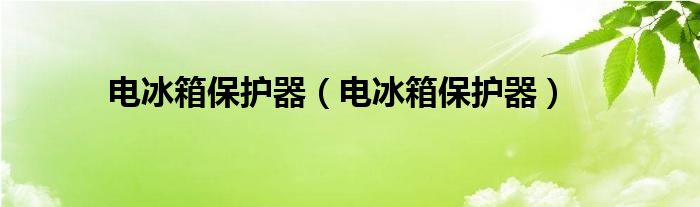 电冰箱保护器（电冰箱保护器）