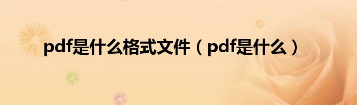 pdf是什么格式文件（pdf是什么）