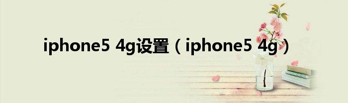 iphone5 4g设置（iphone5 4g）