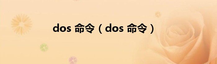 dos 命令（dos 命令）