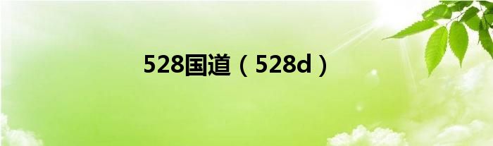 528国道（528d）