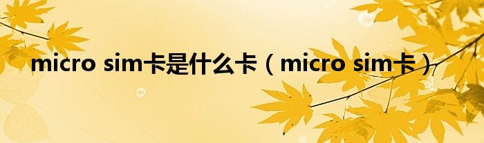 micro sim卡是什么卡（micro sim卡）