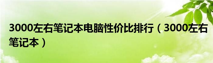 3000左右笔记本电脑性价比排行（3000左右笔记本）