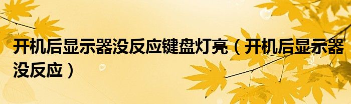 开机后显示器没反应键盘灯亮（开机后显示器没反应）