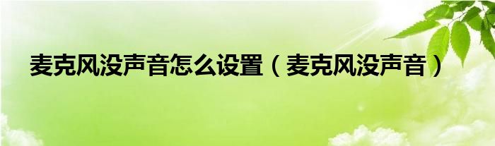 麦克风没声音怎么设置（麦克风没声音）