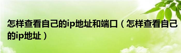 怎样查看自己的ip地址和端口（怎样查看自己的ip地址）