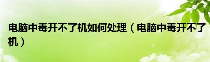 电脑中毒开不了机如何处理（电脑中毒开不了机）