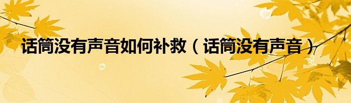 话筒没有声音如何补救（话筒没有声音）