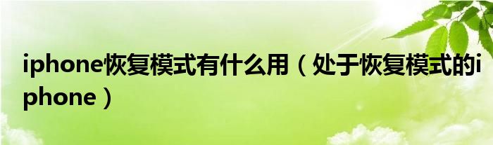 iphone恢复模式有什么用（处于恢复模式的iphone）