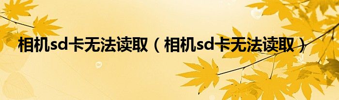 相机sd卡无法读取（相机sd卡无法读取）