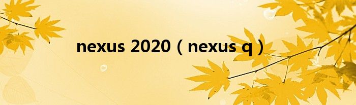 nexus 2020（nexus q）