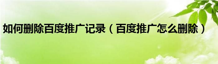 如何删除百度推广记录（百度推广怎么删除）