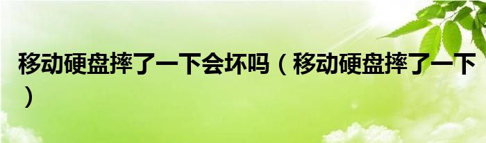 移动硬盘摔了一下会坏吗（移动硬盘摔了一下）