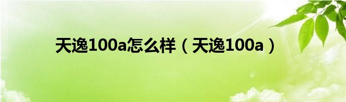 天逸100a怎么样（天逸100a）