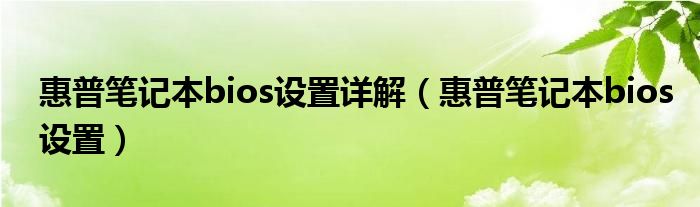 惠普笔记本bios设置详解（惠普笔记本bios设置）