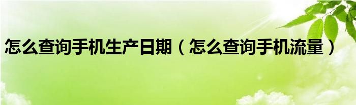 怎么查询手机生产日期（怎么查询手机流量）