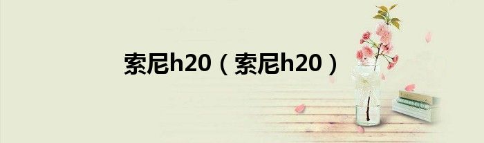 索尼h20（索尼h20）