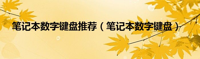 笔记本数字键盘推荐（笔记本数字键盘）