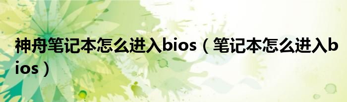 神舟笔记本怎么进入bios（笔记本怎么进入bios）