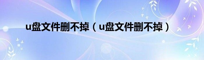 u盘文件删不掉（u盘文件删不掉）