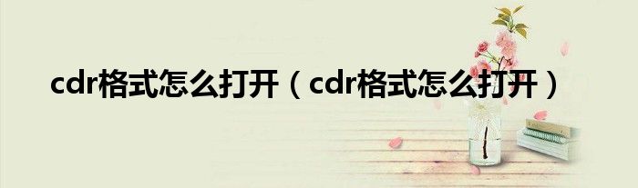 cdr格式怎么打开（cdr格式怎么打开）