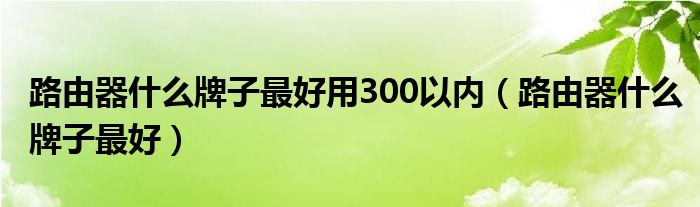 路由器什么牌子最好用300以内（路由器什么牌子最好）