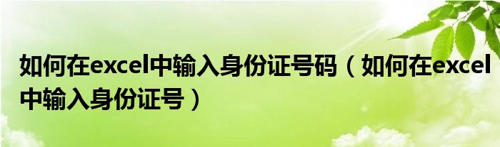 如何在excel中输入身份证号码（如何在excel中输入身份证号）