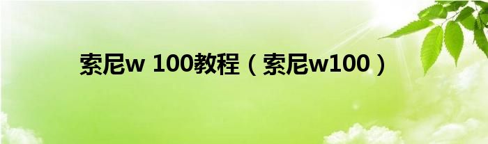 索尼w 100教程（索尼w100）