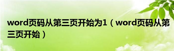 word页码从第三页开始为1（word页码从第三页开始）