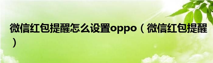 微信红包提醒怎么设置oppo（微信红包提醒）