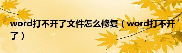 word打不开了文件怎么修复（word打不开了）