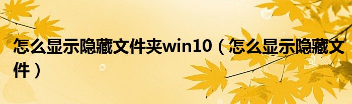 怎么显示隐藏文件夹win10（怎么显示隐藏文件）