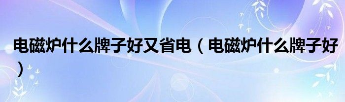 电磁炉什么牌子好又省电（电磁炉什么牌子好）