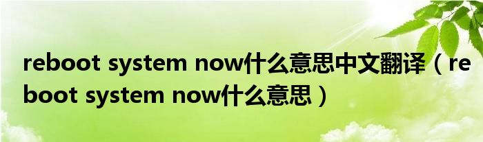 reboot system now什么意思中文翻译（reboot system now什么意思）