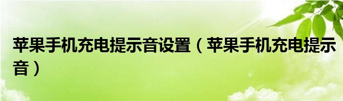 苹果手机充电提示音设置（苹果手机充电提示音）