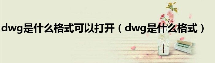 dwg是什么格式可以打开（dwg是什么格式）