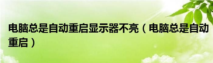 电脑总是自动重启显示器不亮（电脑总是自动重启）