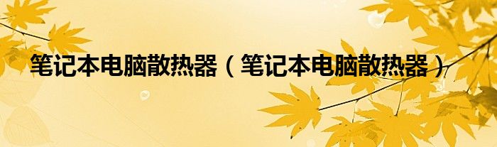 笔记本电脑散热器（笔记本电脑散热器）