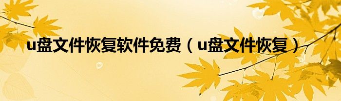 u盘文件恢复软件免费（u盘文件恢复）